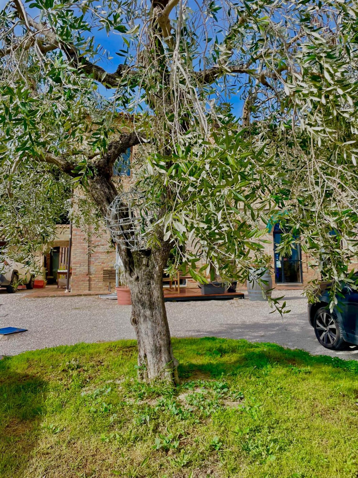 Masseria Tattoni - Residenza Di Campagna - Narramondo Villas Bellante ภายนอก รูปภาพ